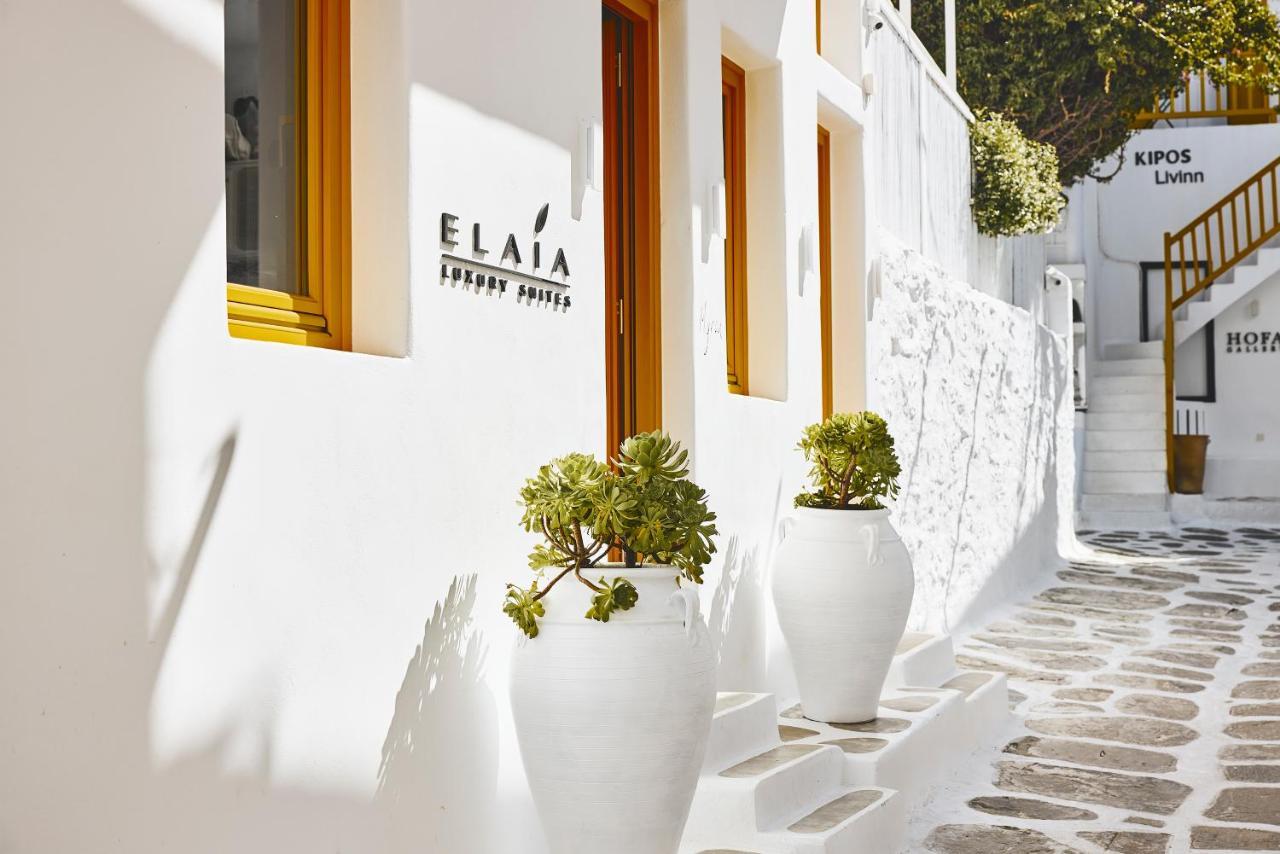 Elaia Luxury Suites Mykonos Mykonos Town Exteriör bild