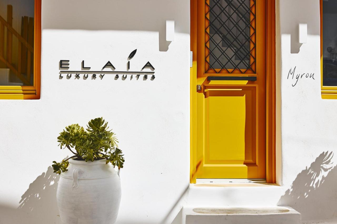 Elaia Luxury Suites Mykonos Mykonos Town Exteriör bild